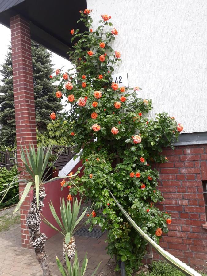 Das Besondere Quartier In Berlin Pankow Luaran gambar